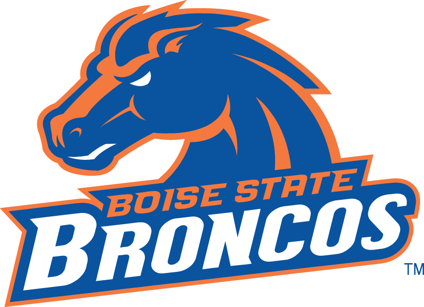 Boise State Broncos 2002-2012 Alternate Logo v2 diy DTF decal sticker